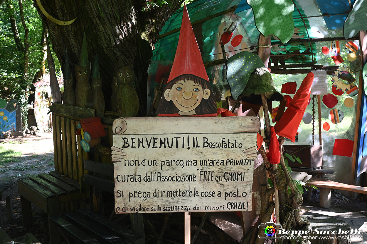 VBS_4838 - Il bosco fatato - Montaldo Roero.jpg